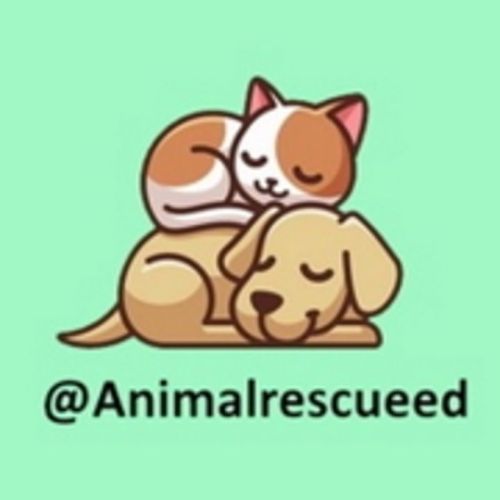 Группа помощи Animalrescueed